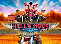 YGHellSHogs