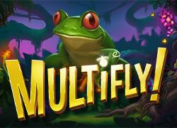 YGMultifly