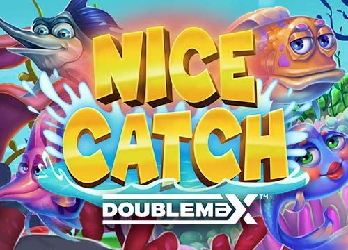 YGNiceCatchDoubleMax