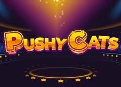 YGPushyCats