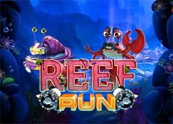 YGReefRun