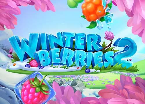Winterberries 2