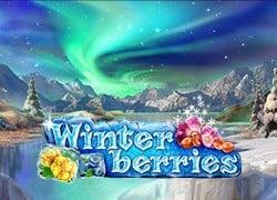 Winterberries